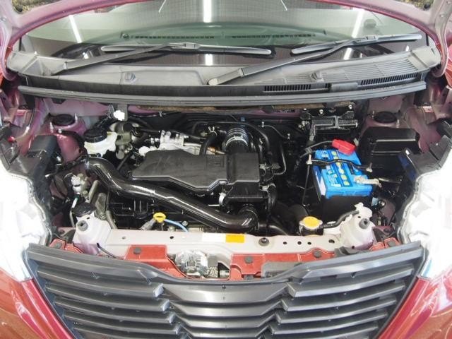 25548413_carP_l_17.jpg