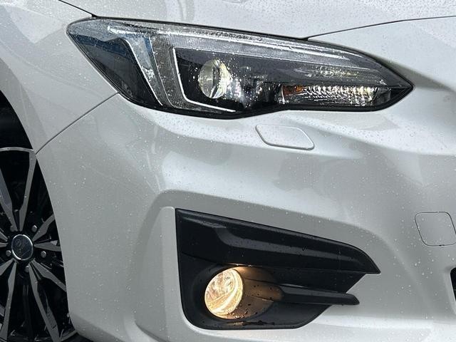 26251428_carP_l_10.jpg