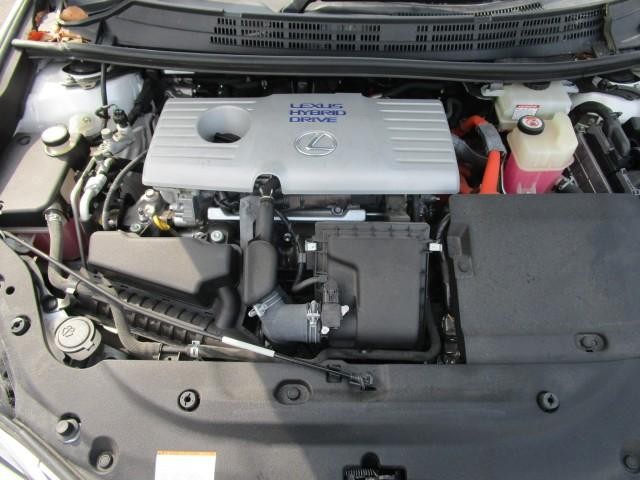 25963537_carP_l_17.jpg