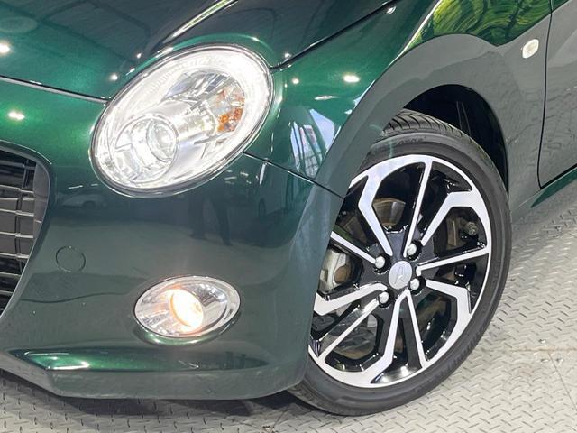 24542055_carP_l_6.jpg