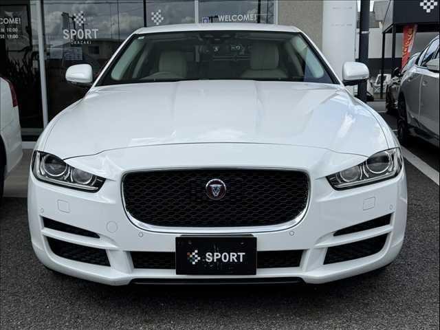25152573_carP_l_9.jpg