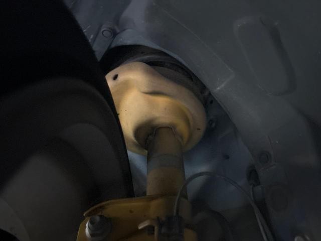 26251429_carP_l_19.jpg