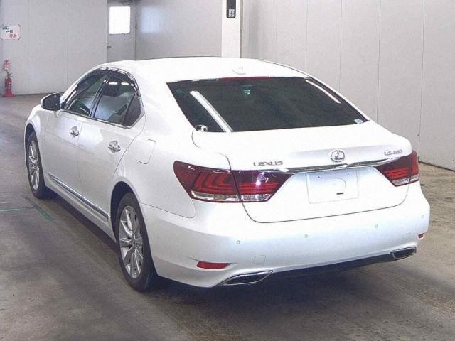 27144818_carP_l_10.jpg