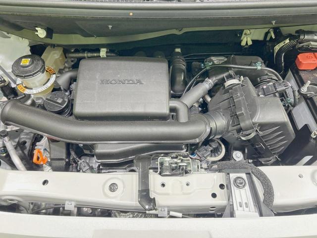24932871_carP_l_16.jpg