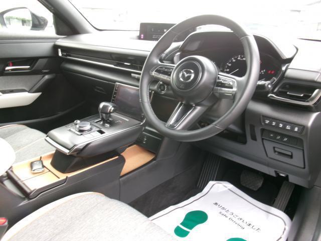 24854689_carP_l_15.jpg