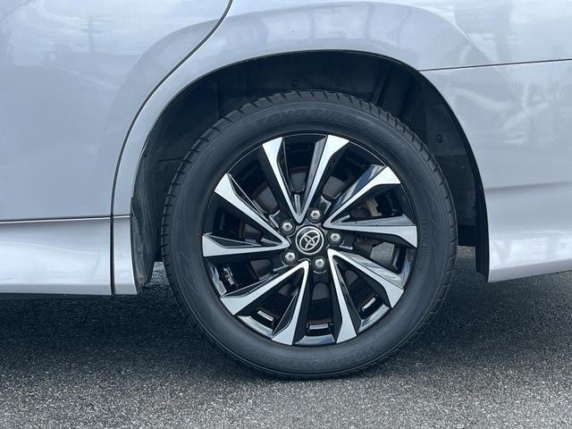25652902_carP_l_8.jpg