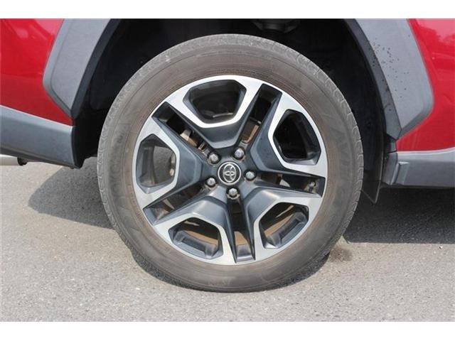 26048871_carP_l_18.jpg