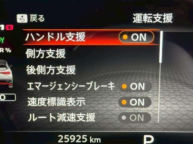 25200269_carP_l_12.jpg