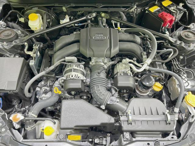 24932872_carP_l_16.jpg