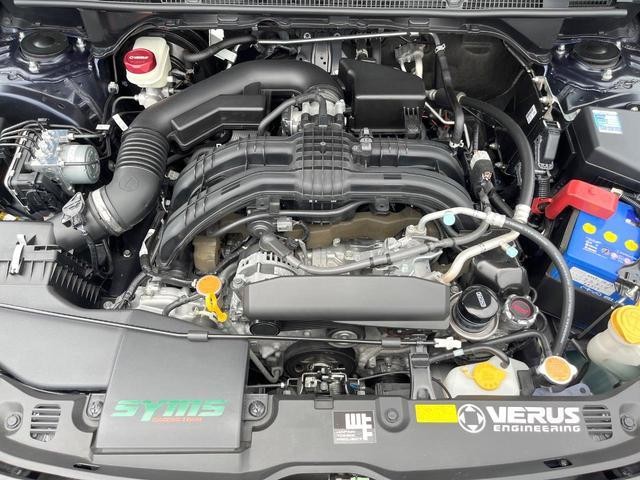25035744_carP_l_16.jpg