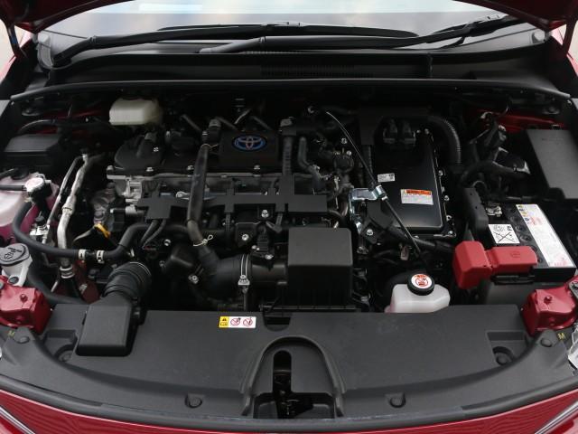 24406908_carP_l_17.jpg