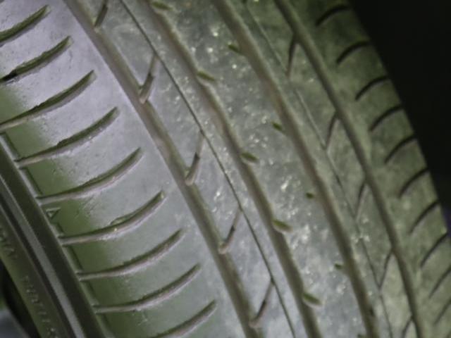 24700433_carP_l_8.jpg