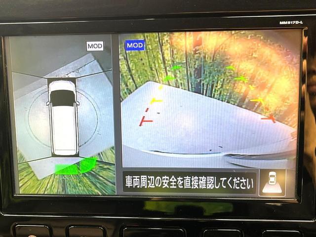 24912489_carP_l_13.jpg