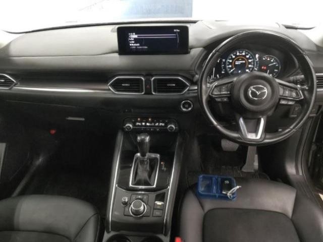 27052580_carP_l_15.jpg