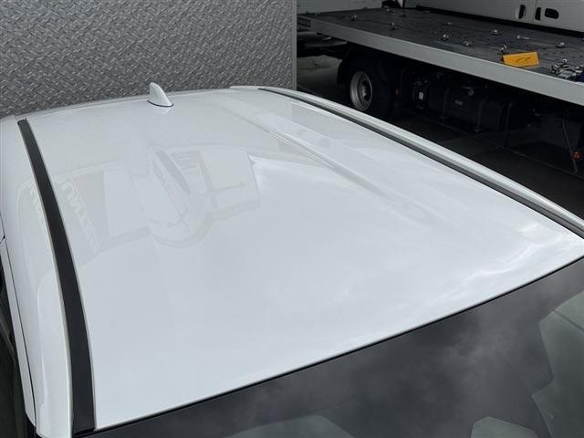 26408604_carP_l_7.jpg