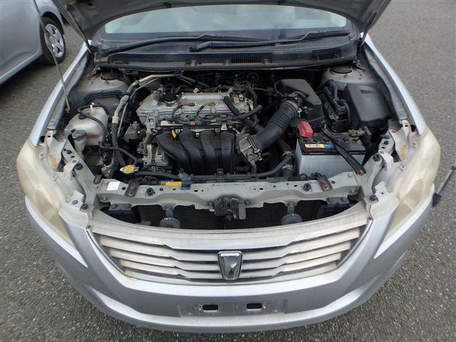 08.jpg
