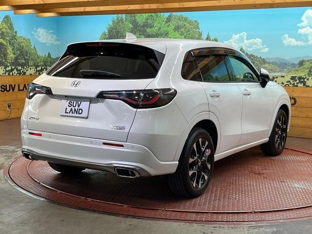 25445551_carP_l_12.jpg