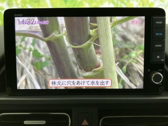 25102555_carP_l_6.jpg
