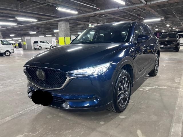 27052641_carP_l_17.jpg