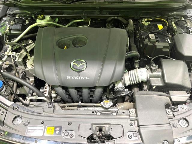 26577800_carP_l_18.jpg