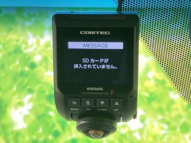 25638425_carP_l_11.jpg