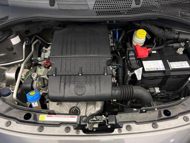 24912535_carP_l_16.jpg
