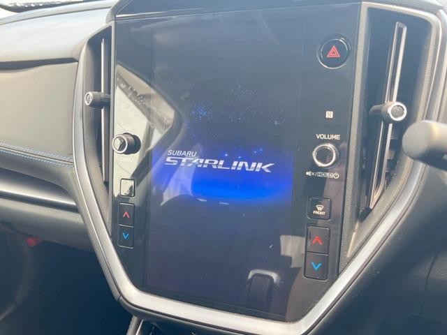 25241164_carP_l_4.jpg