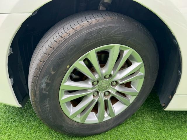 25061222_carP_l_11.jpg