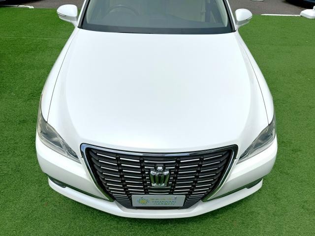 25061222_carP_l_16.jpg