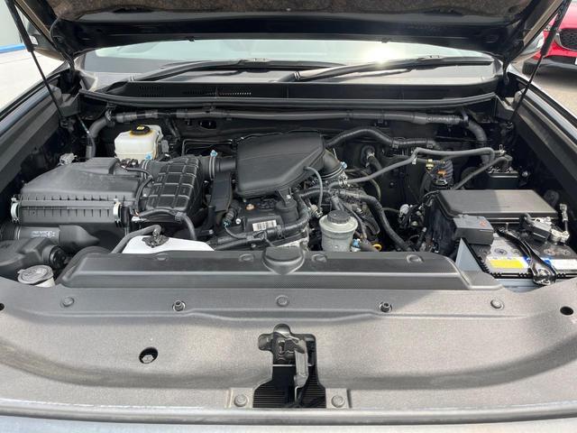 24932164_carP_l_12.jpg