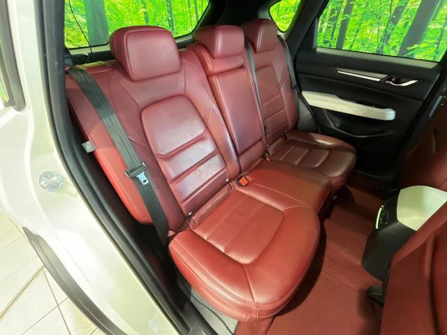 24912776_carP_l_19.jpg