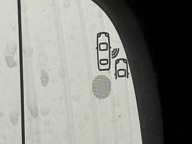 26681789_carP_l_13.jpg