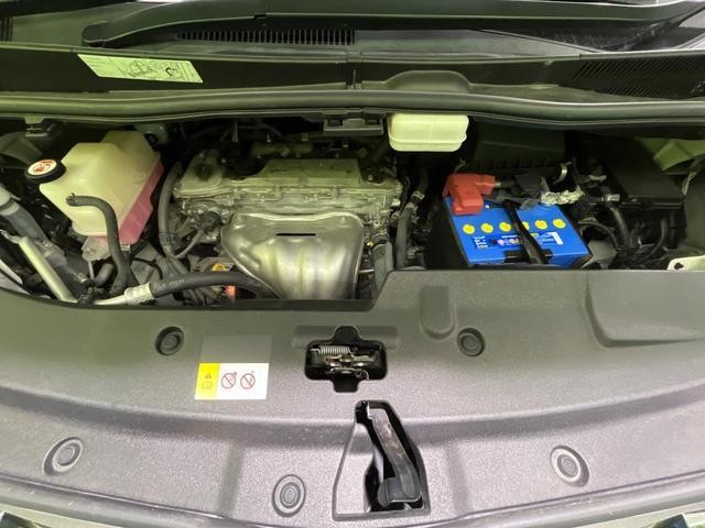 26731727_carP_l_18.jpg