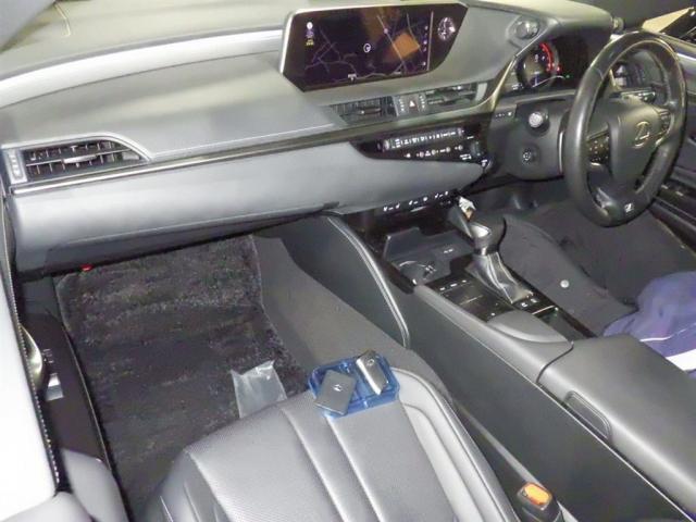 24095608_carP_l_15.jpg