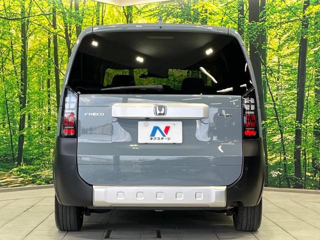 24912871_carP_l_9.jpg