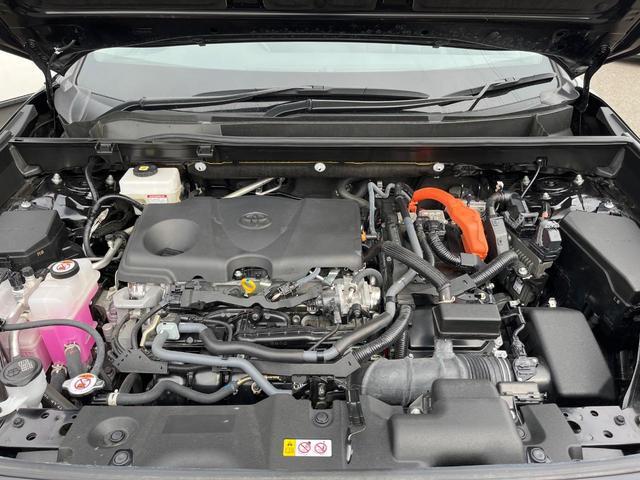 24932166_carP_l_16.jpg