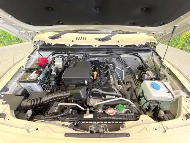 25445618_carP_l_9.jpg