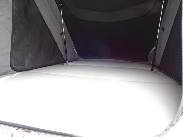 24395771_carP_l_4.jpg