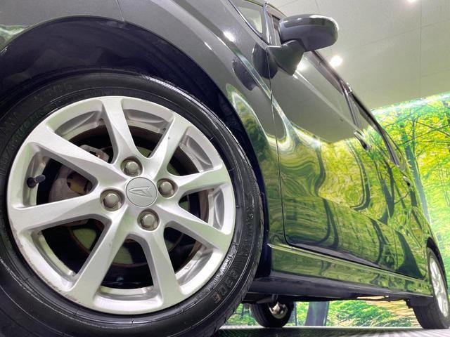 26380485_carP_l_9.jpg