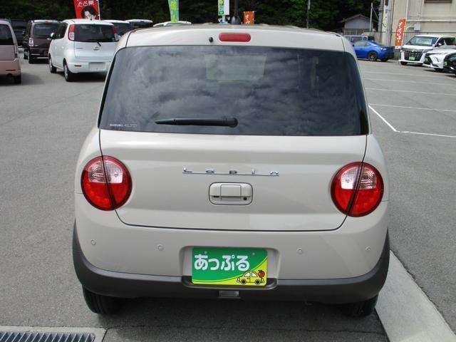 23610317_carP_l_4.jpg