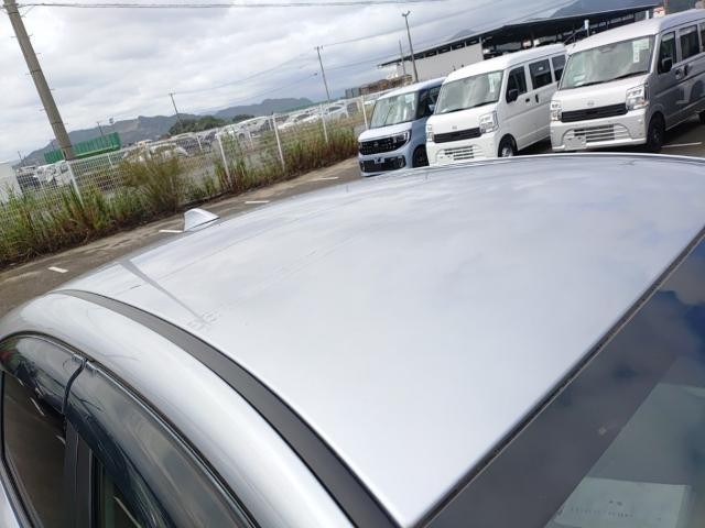 26756577_carP_l_14.jpg