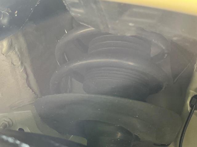 25015243_carP_l_20.jpg