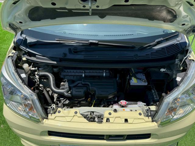 24244997_carP_l_12.jpg