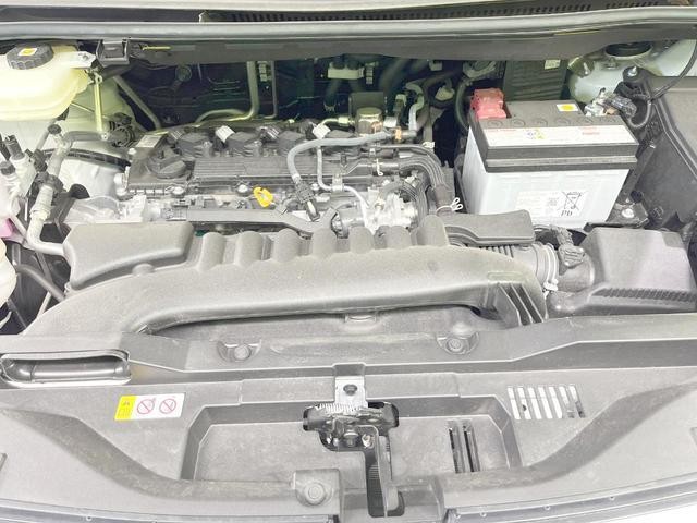 25904367_carP_l_16.jpg