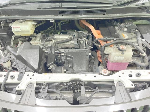 25904368_carP_l_16.jpg
