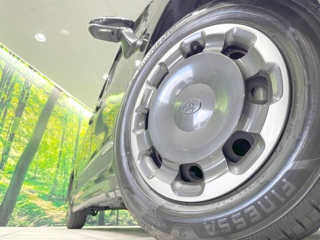 25904371_carP_l_7.jpg