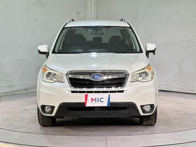 25359193_carP_l_6.jpg