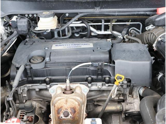 23616357_carP_l_18.jpg