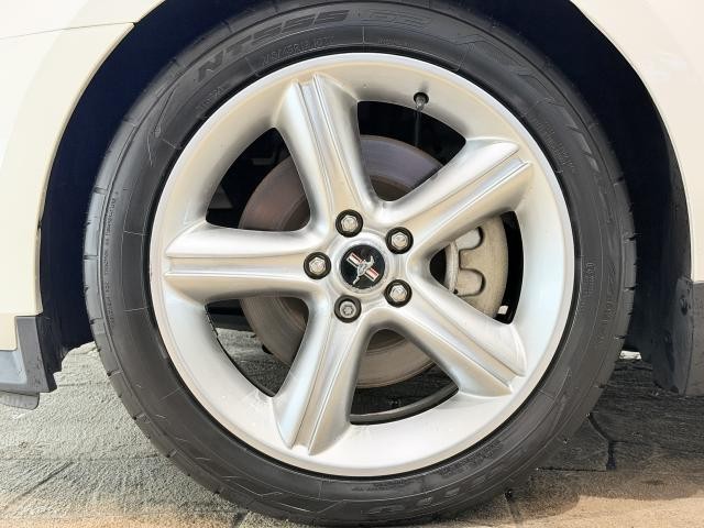 26380756_carP_l_19.jpg