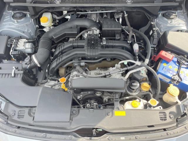 25241167_carP_l_20.jpg